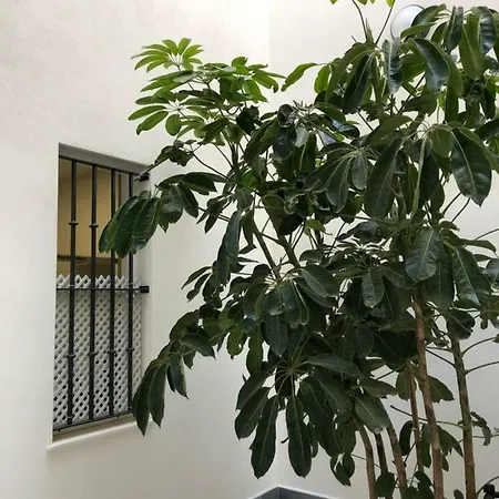 Apartment Jano Puertatierra