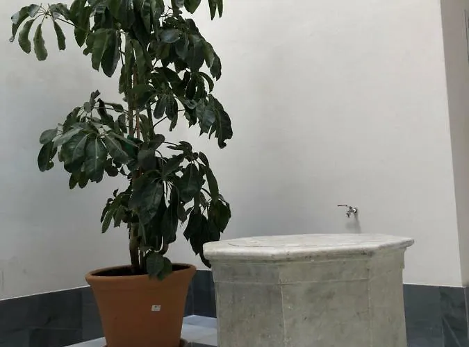 Appartamento Jano Puertatierra Cadice