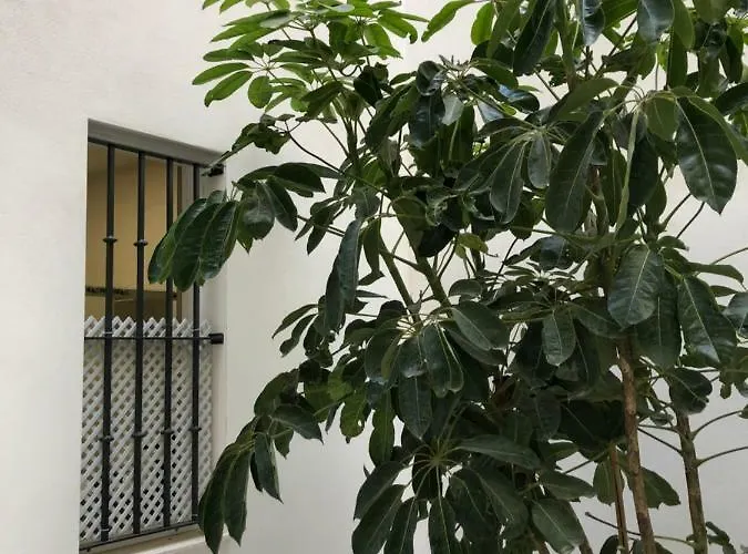 Apartment Jano Puertatierra