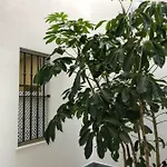 Lejlighed Jano Puertatierra